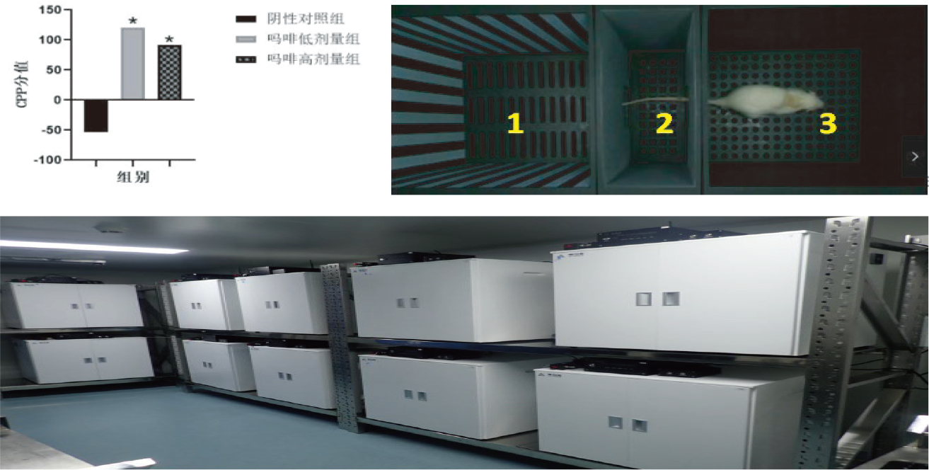 圖層 38.png