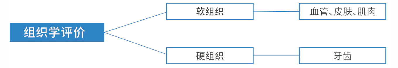 矩形 1.jpg